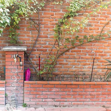 The Best Belgrade's House Apartment